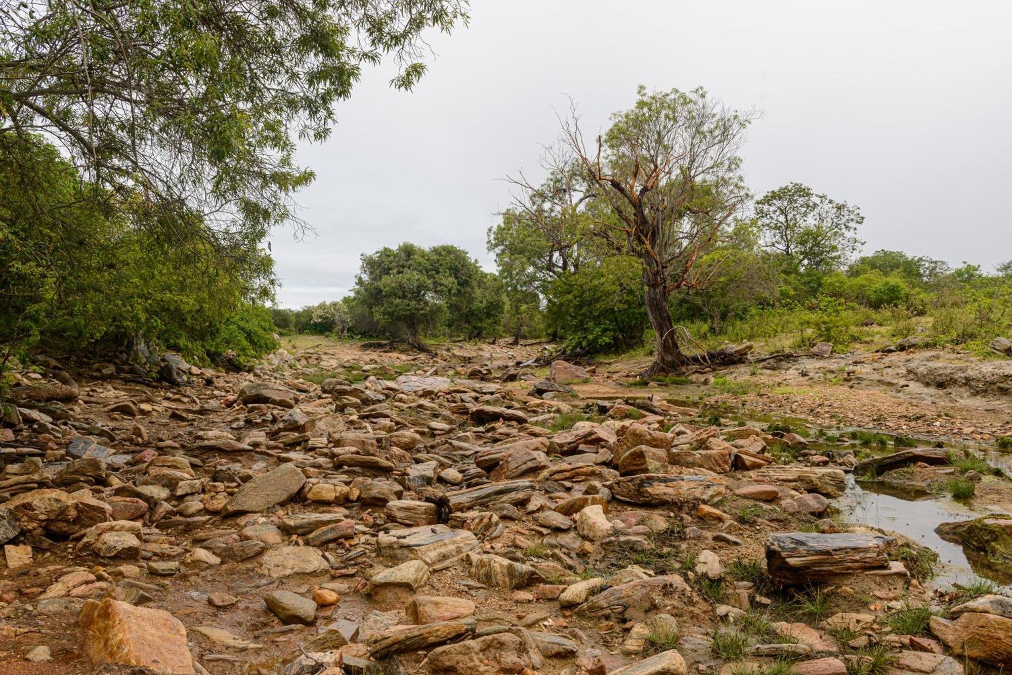 Fazenda Poco Das Pedras São João do Cariri Buitenkant foto